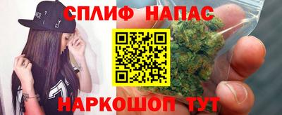 мяу мяу мука Бузулук