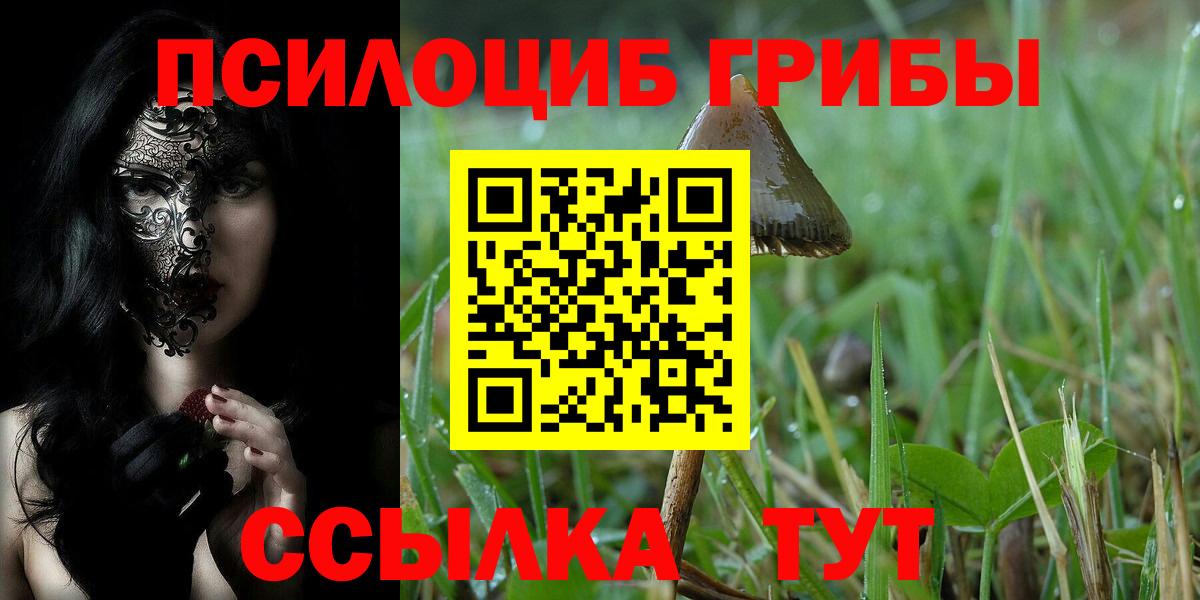 Тосно  Галлюциногенные грибы мицелий  Вход с VPN  Псилоцибиновые грибы мицелий 